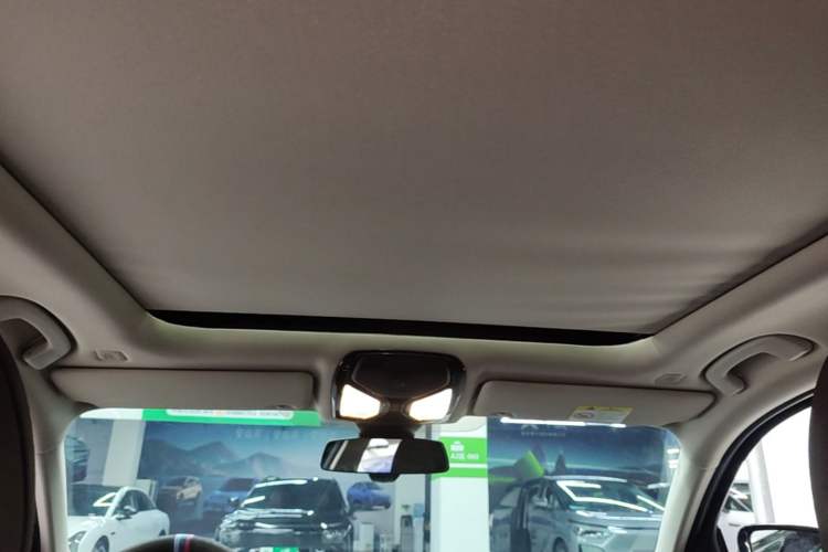 Used BMW 3 Series 2020 Facelifted 325Li M Sport Night Edition Package Headliner