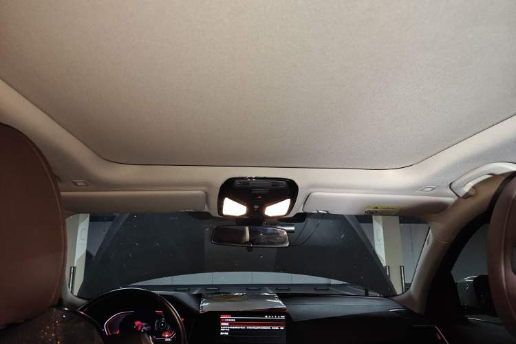 Used BMW 3 Series 2020 325Li First Edition Headliner