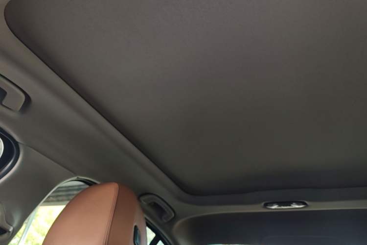 Used BMW 3 Series 2020 320Li M Sport Package Headliner