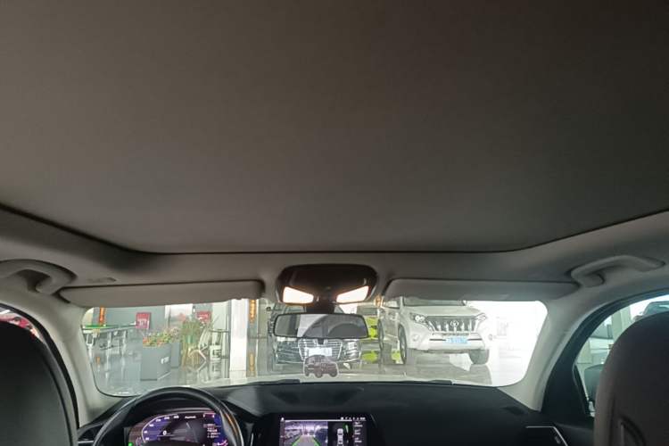 Used BMW 3 Series 2020 325Li First Edition Headliner