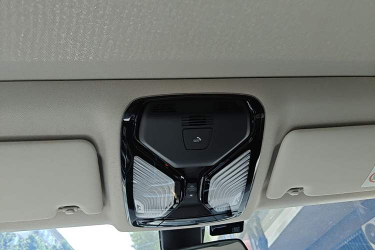 Used BMW 3 Series 2020 320Li M Sport Package Headliner