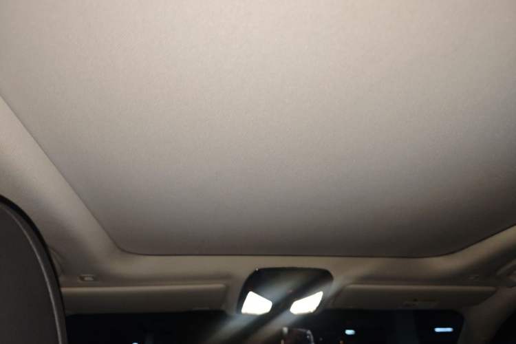 Used BMW 3 Series 2020 325Li M Sport Package Headliner