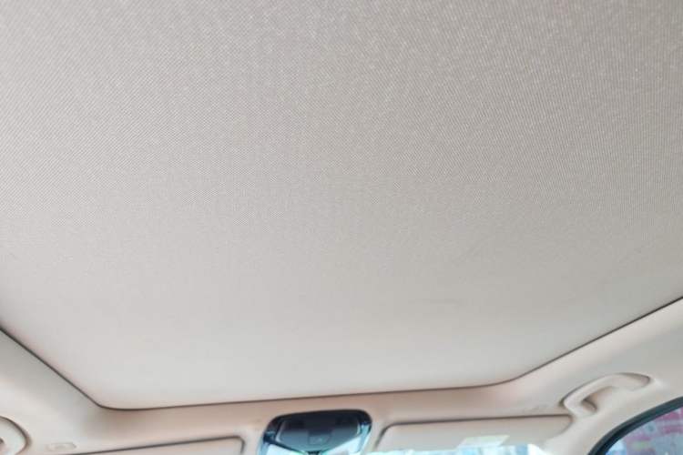 Used BMW 3 Series 2020 320Li M Sport Package Headliner