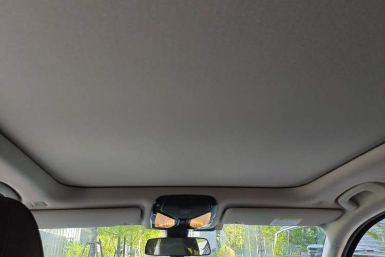 Used BMW 3 Series 2020 320Li M Sport Package Headliner