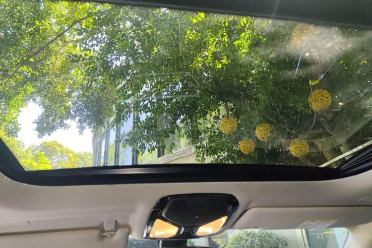 Used BMW 3 Series 2020 320Li M Sport Package Headliner