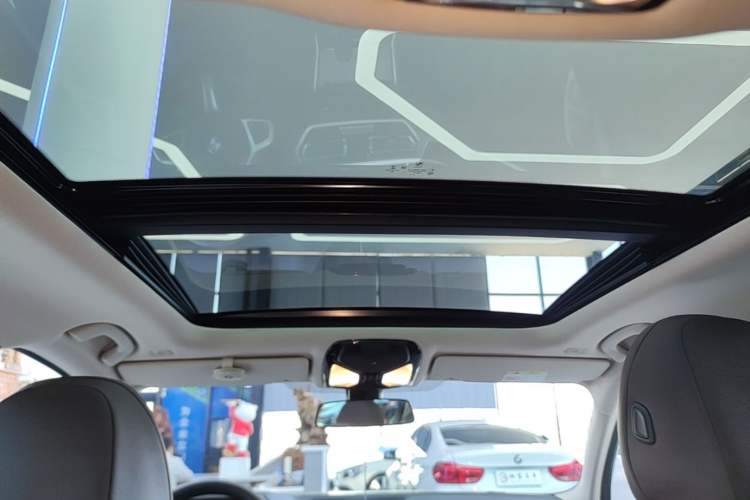 Used BMW 3 Series 2020 320Li M Sport Package Headliner