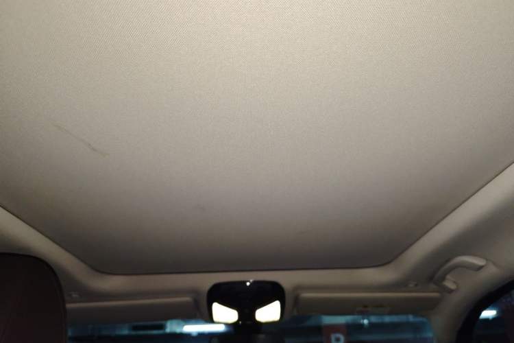 Used BMW 3 Series 2020 325Li First Edition Headliner