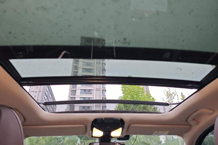 Used BMW 3 Series 2020 325Li First Edition Headliner