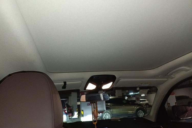 Used BMW 3 Series 2020 320Li M Sport Package Headliner