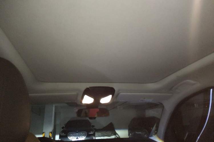 Used BMW 3 Series 2020 320Li M Sport Package Headliner