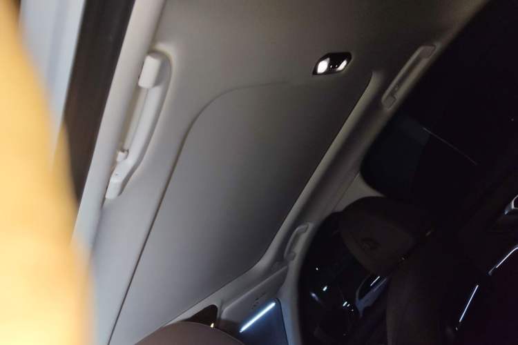 Used BMW 3 Series 2020 325Li First Edition Headliner