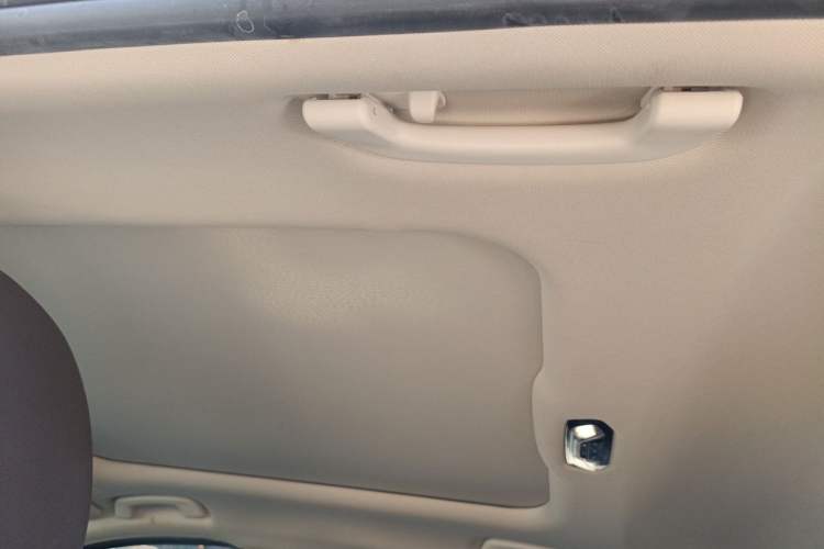 Used BMW 3 Series 2020 325Li M Sport Package Headliner