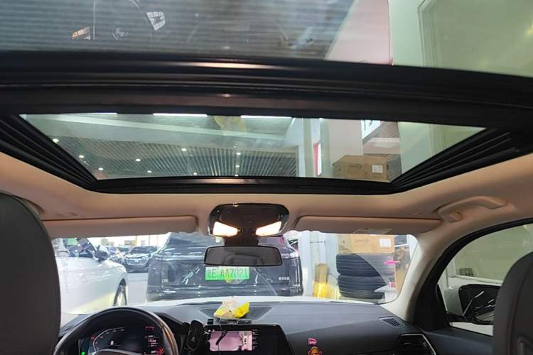 Used BMW 3 Series 2020 325Li First Edition Headliner