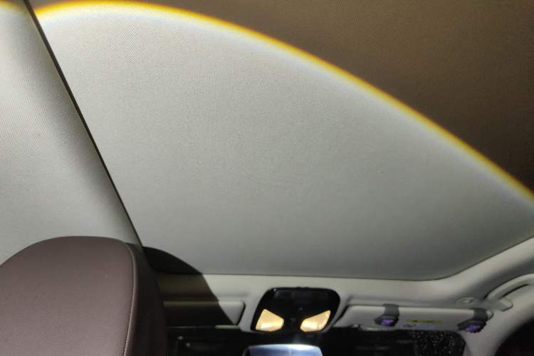 Used BMW 3 Series 2020 325Li First Edition Headliner
