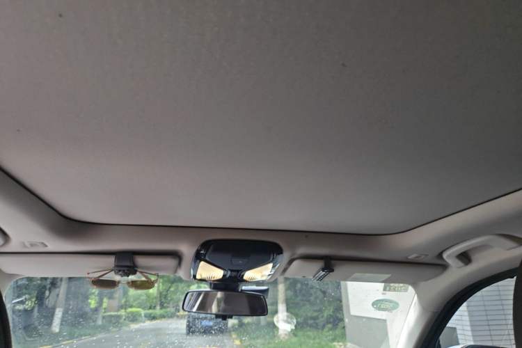 Used BMW 3 Series 2020 325Li First Edition Headliner