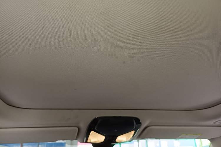 Used BMW 3 Series 2020 325Li M Sport Package Headliner