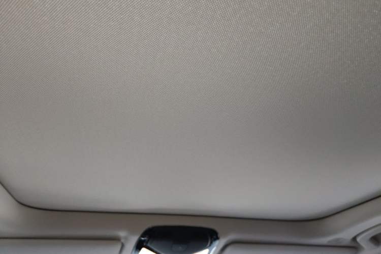 Used BMW 3 Series 2020 320Li M Sport Package Headliner