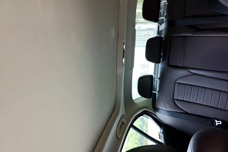 Used BMW 3 Series 2020 320Li M Sport Package Headliner