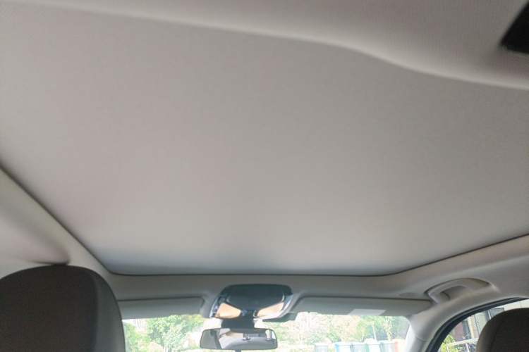 Used BMW 3 Series 2020 325Li M Sport Package Headliner