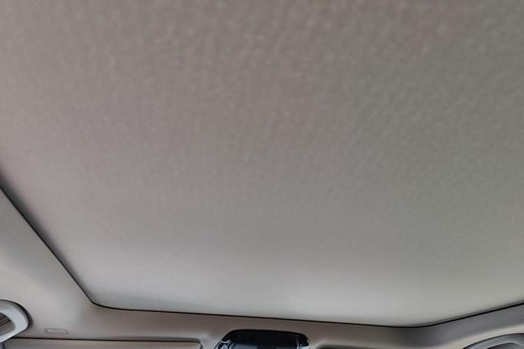 Used BMW 3 Series 2020 325Li M Sport Night Edition Package Headliner