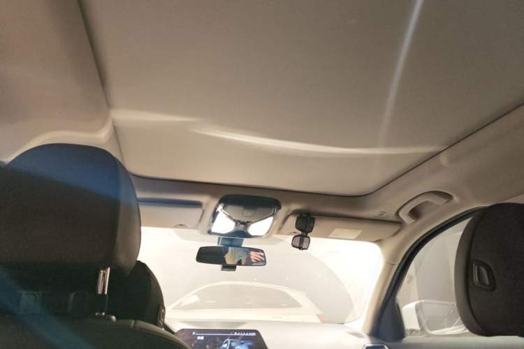 Used BMW 3 Series 2020 320Li M Sport Package Headliner