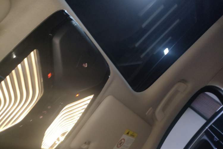Used BMW 3 Series 2020 320Li M Sport Package Headliner