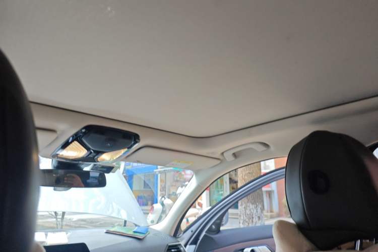 Used BMW 3 Series 2020 Restyled 325Li M Sport Package Headliner