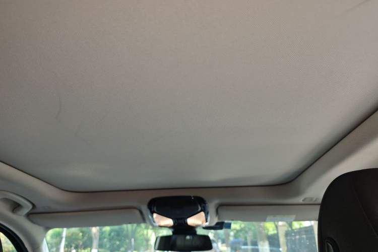 Used BMW 3 Series 2020 Facelifted 325Li M Sport Night Edition Package Headliner