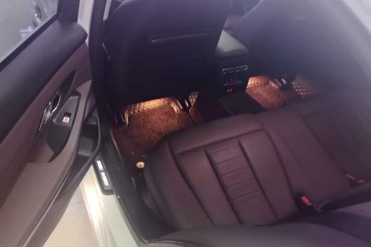 Used BMW 3 Series 2020 320Li M Sport Package Left Rear Seat