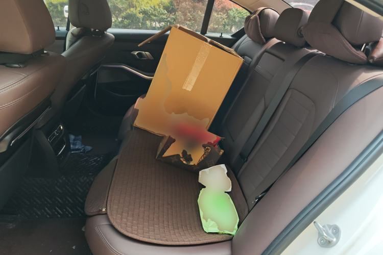 Used BMW 3 Series 2020 Facelifted 325Li xDrive M Sport Package Left Rear Seat