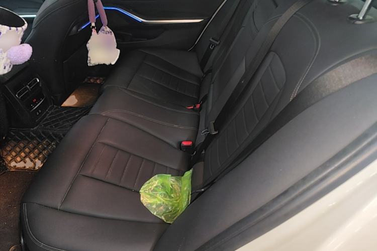 Used BMW 3 Series 2020 325Li First Edition Left Rear Seat