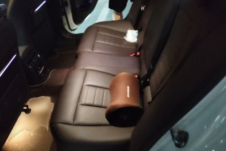 Used BMW 3 Series 2020 325Li First Edition Left Rear Seat