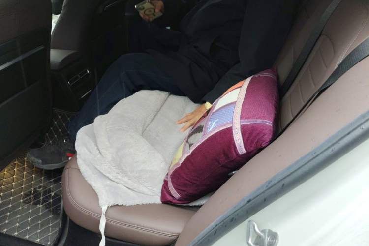 Used BMW 3 Series 2020 320Li M Sport Package Left Rear Seat