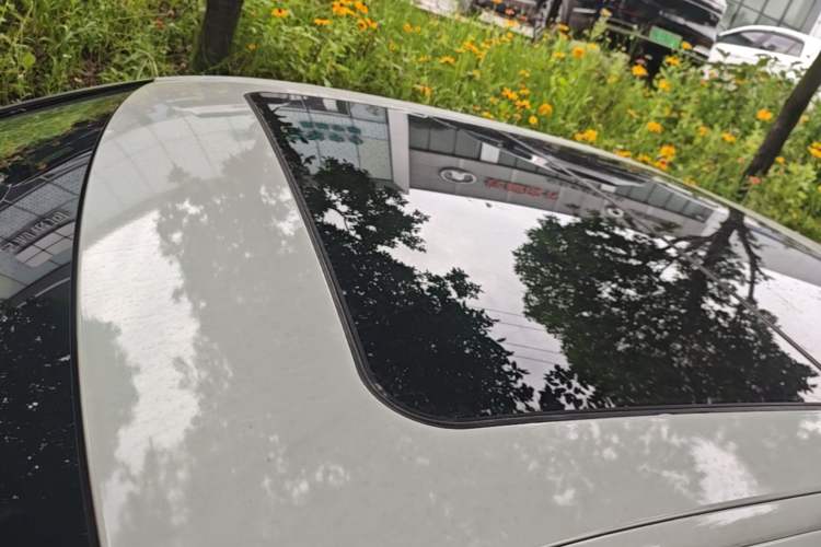 Used BMW 3 Series 2020 325Li First Edition Roof