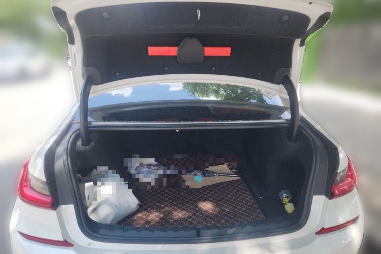 Used BMW 3 Series 2020 320Li M Sport Package Trunk
