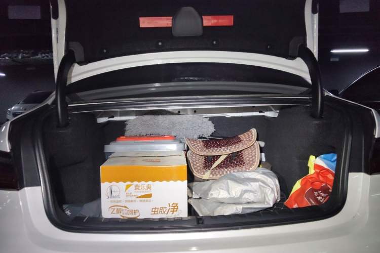 Used BMW 3 Series 2020 325Li First Edition Trunk