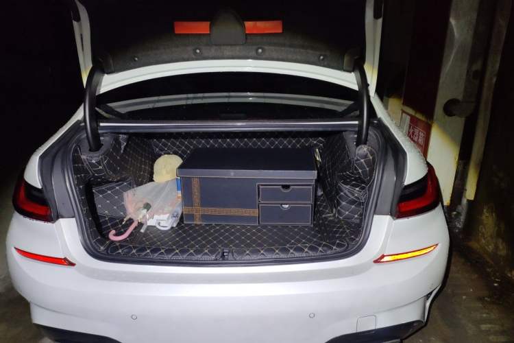 Used BMW 3 Series 2020 325Li M Sport Package Trunk
