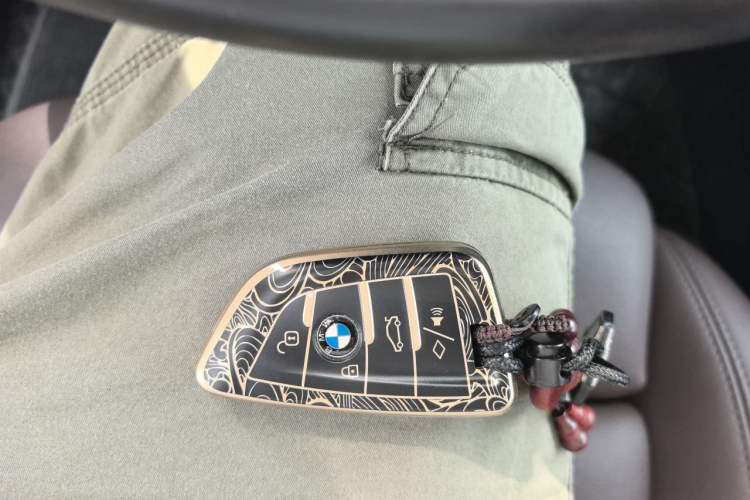 Used BMW 3 Series 2020 320Li M Sport Package Vehicle Key