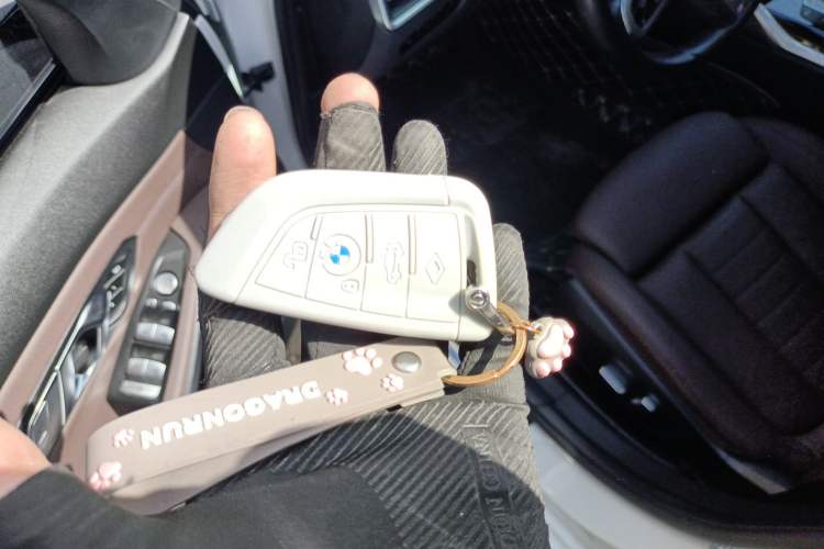 Used BMW 3 Series 2020 320Li M Sport Package Vehicle Key