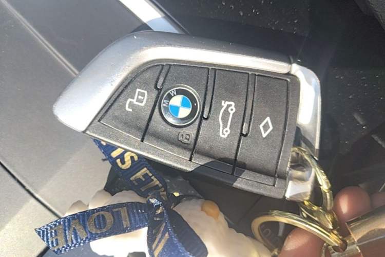 Used BMW 3 Series 2020 320Li M Sport Package Vehicle Key