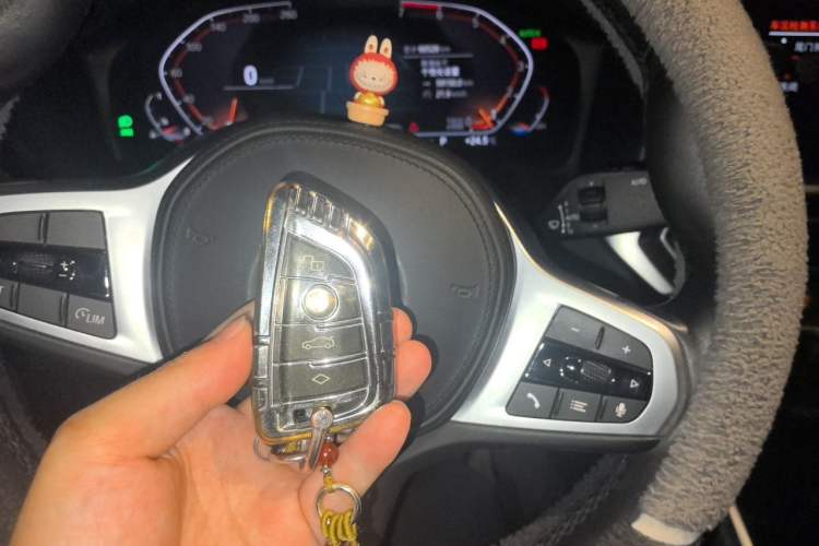 Used BMW 3 Series 2020 320Li M Sport Package Vehicle Key