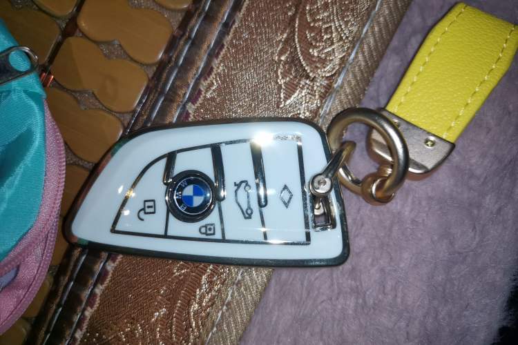 Used BMW 3 Series 2020 320Li M Sport Package Vehicle Key