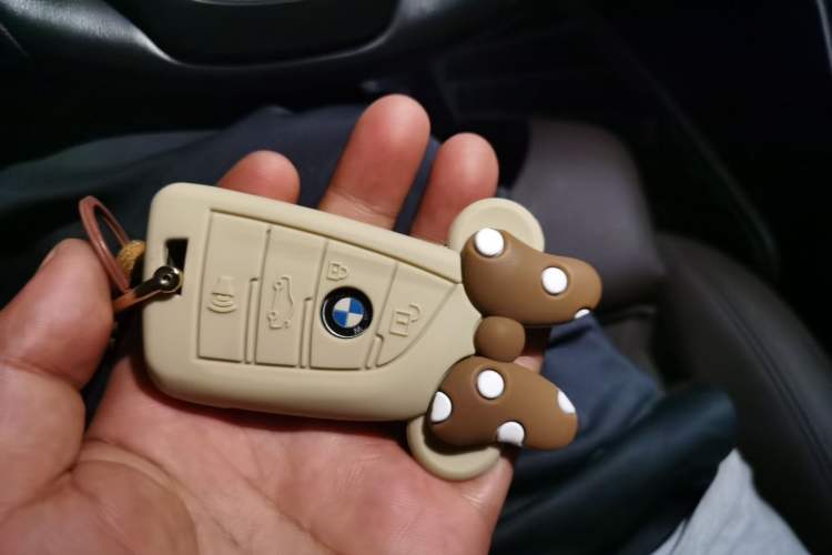 Used BMW 3 Series 2020 325Li First Edition Vehicle Key