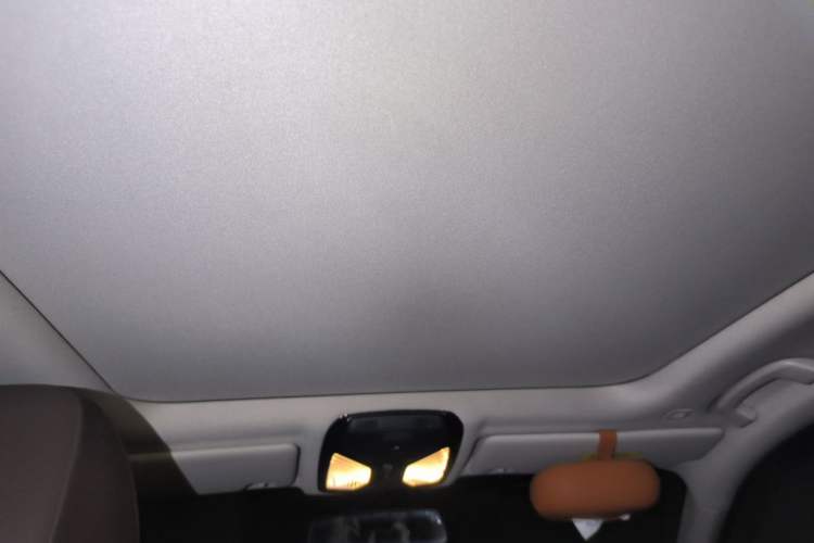 Used BMW 3 Series 2020 325Li M Sport Package Headliner