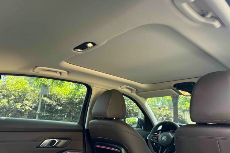 Used BMW 3 Series 2020 325Li M Sport Package Headliner