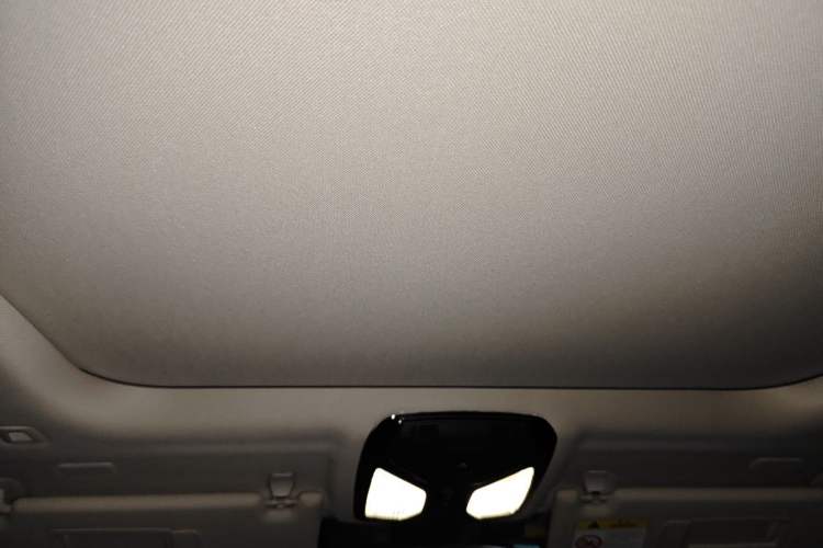Used BMW 3 Series 2020 325Li First Edition Headliner