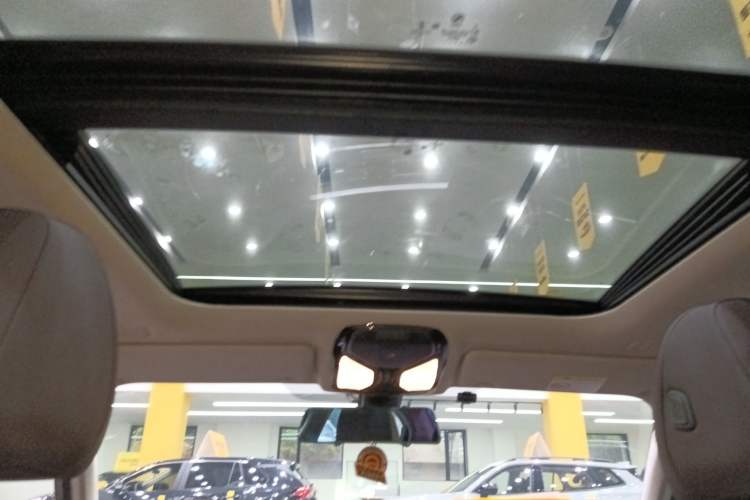 Used BMW 3 Series 2020 325Li First Edition Headliner