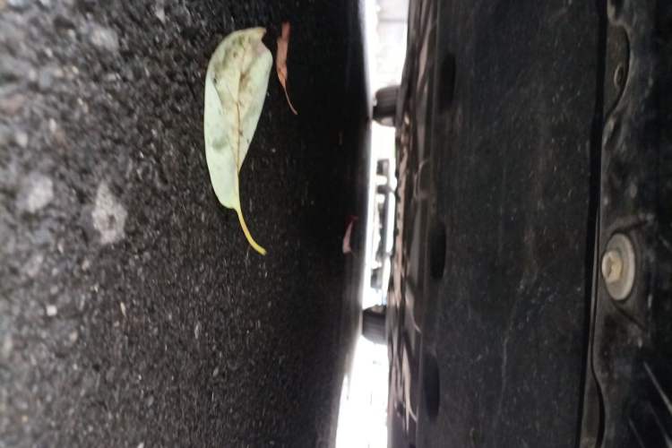 Used BMW 3 Series 2021 320Li M Sport Package Chassis Front