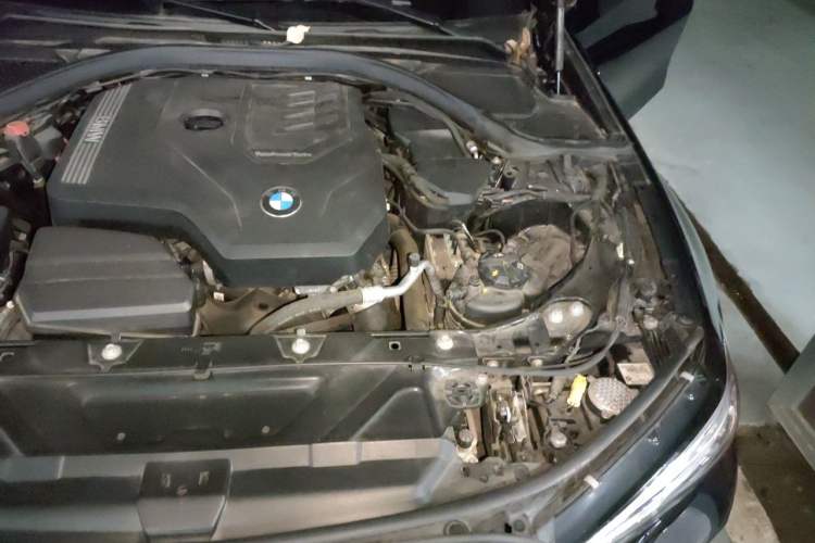 Used BMW 3 Series 2021 Facelifted 320Li M Sport Package Engine Bay Left