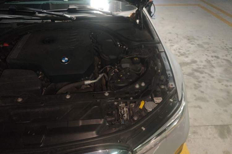 Used BMW 3 Series 2021 320Li M Sport Package Engine Bay Left